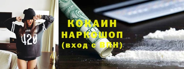 амф Горняк