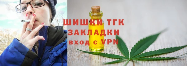 амф Горняк