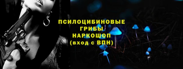 амф Горняк