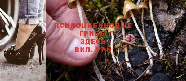амф Горняк