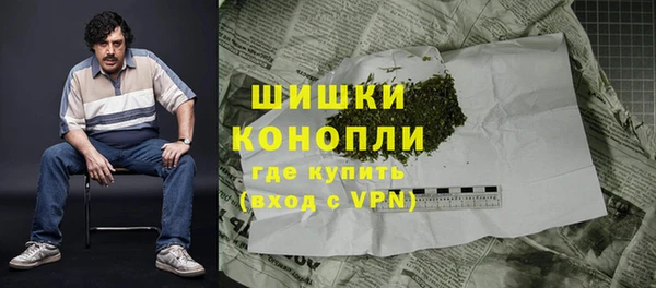 амф Горняк