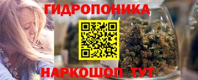 гашик Волжск