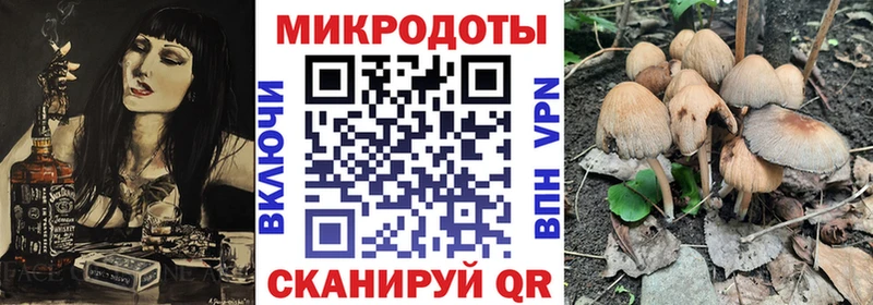 мега   это официальный сайт  Галлюциногенные грибы Magic Shrooms  Городец 