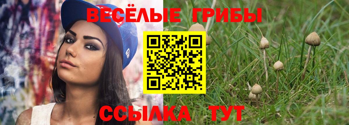 Галлюциногенные грибы мицелий Городец