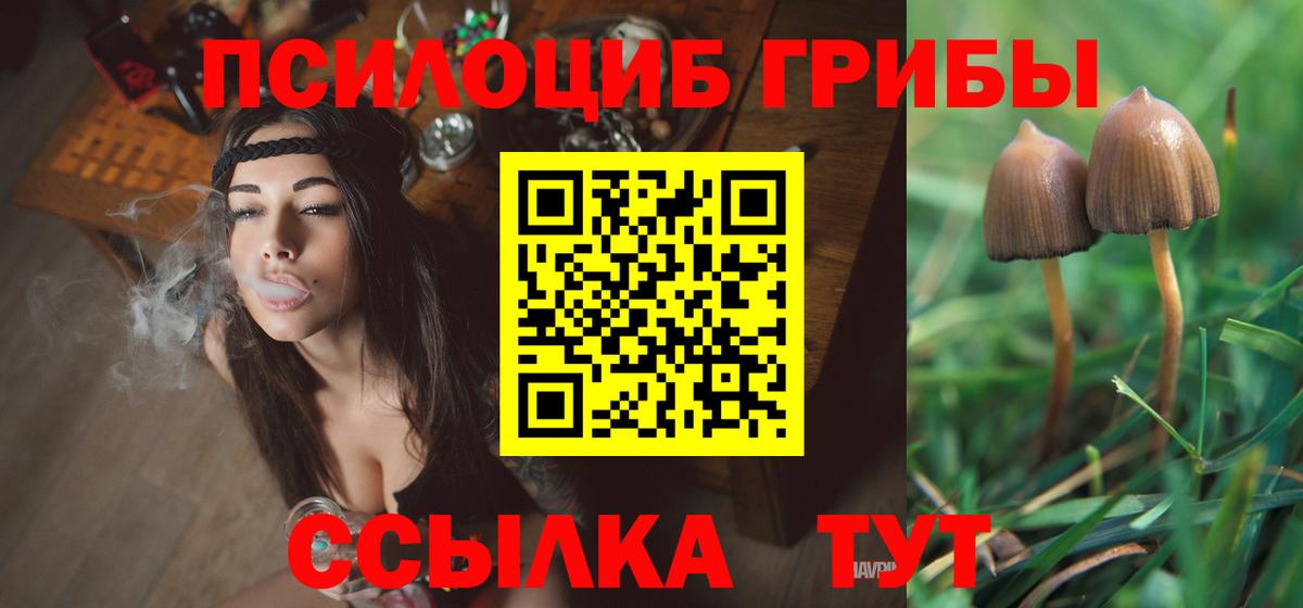 что такое   Псилоцибиновые грибы прущие грибы  Городец  Галлюциногенные грибы ЛСД 