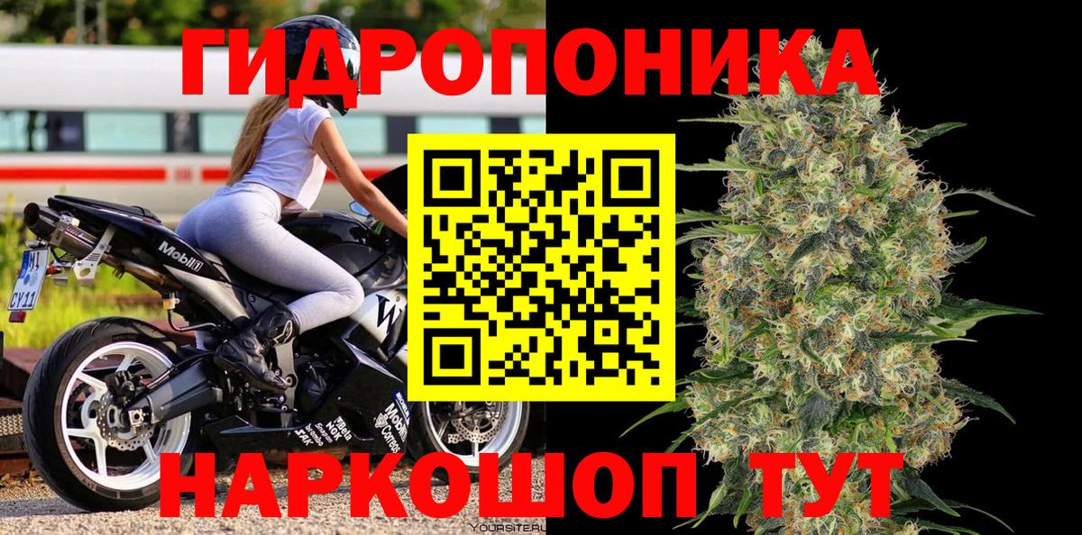 Галлюциногенные грибы Городец